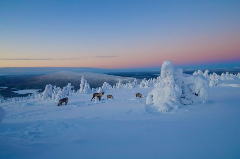 Lapland – Esa Hakulinen